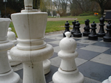 ChessOrg Bild